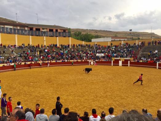 21231189_10156741193563079_6910385355310346079_n