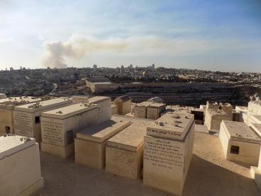 25395830_10157136922333079_6626050863943306390_n