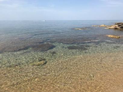 33078820_10157693222708079_9212824821241479168_n