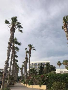 33087655_10157693226728079_4916342200649908224_n